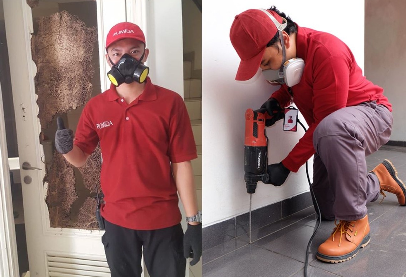 Pembasmi Rayap Yang Terpercaya